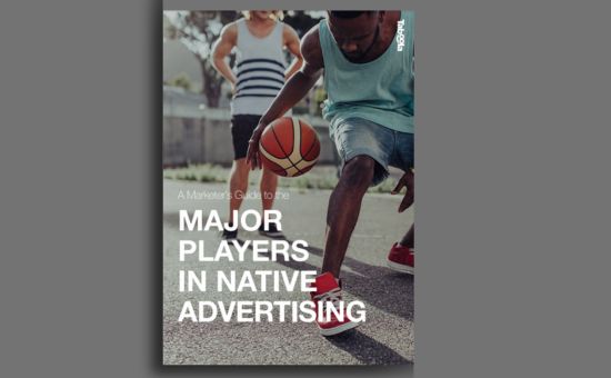 Native Advertising: Key Players In Marketing Landscape | DMC