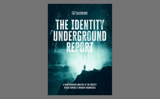 The Identity Underground Report | DMC