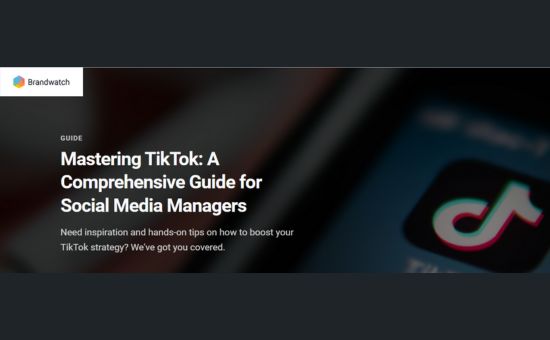 Mastering TikTok: Guide For Social Media Managers | DMC