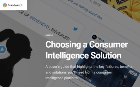Choosing a Consumer Intelligence Solution | DMC