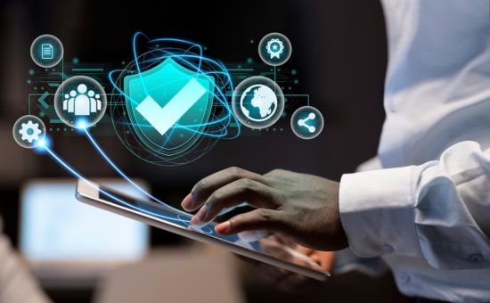 Mastering Cybersecurity Protecting Your Digital World | DMC