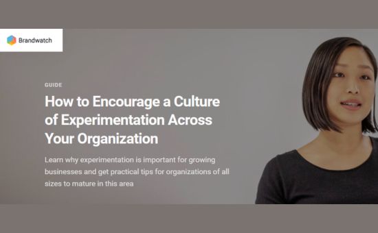 Master Experimentation For Innovation And Growth | DMC