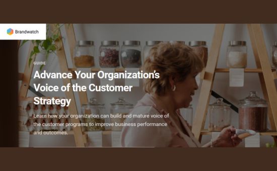 Boost Your Organization’s Voice Of The Customer Strategy|DMC