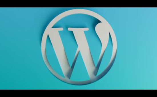 5 Tips to Make Your WordPress Site Mobile-Friendly | DMC