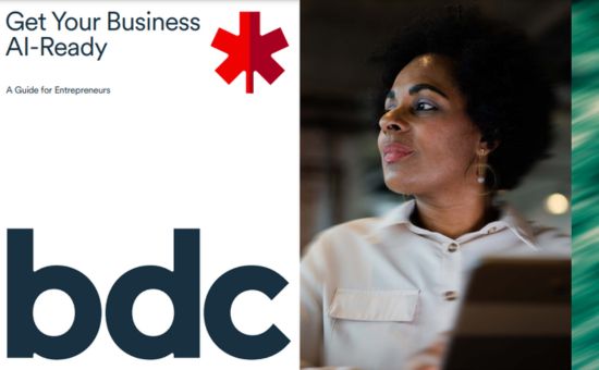 Get Your Business AI-Ready: A Guide for Entrepreneurs | DMC