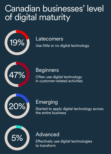 Get Your Business AI-Ready: A Guide for Entrepreneurs | DMC